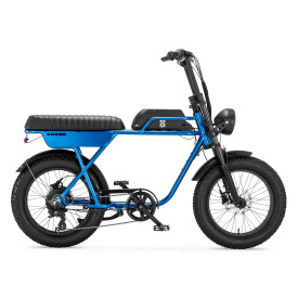 AGM GT250 Fatbike blauw 2023