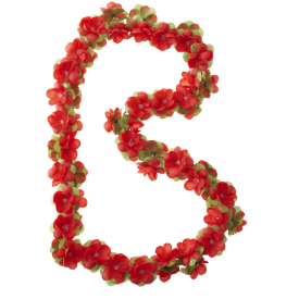 Basil bloemslinger rood