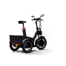 joiny-met-krat-elektrische-driewielscooter