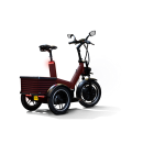 joiny-met-krat-rood-elektrische-driewielscooter