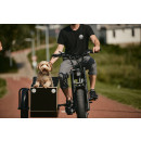 Sidecar / zijspan Phatfour hond