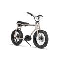 Ruff Cycles Lil'Buddy elektrische fatbike. Fano gray